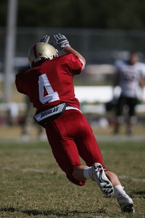 NBA球队防守战术演变分析，nba球队防守效率排行榜