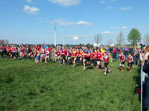 中国篮球青少年篮球发展政策落实与推广，中国青少年篮球发展现状