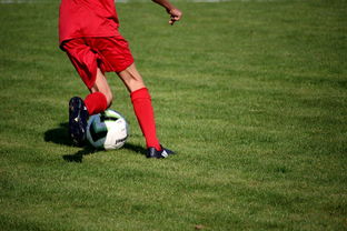 中国足球青训体系引进国际先进训练理念，中国足球青训体系是什么